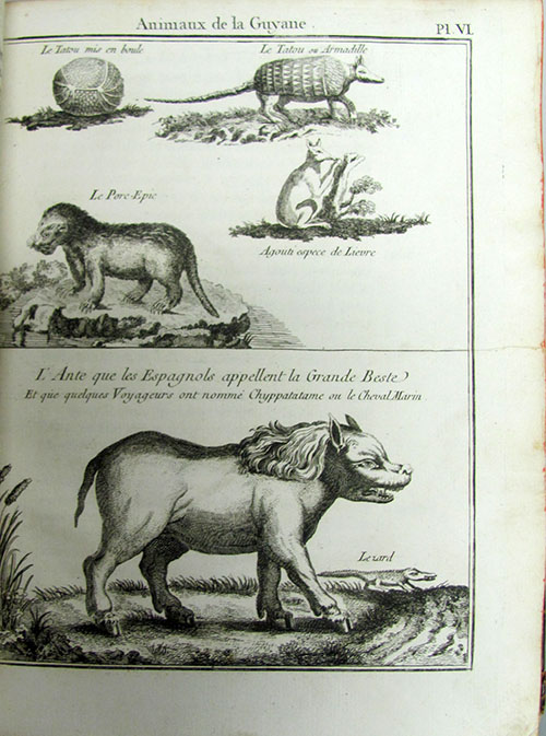 Déscription géographique de la Guyane. Contenant les possessions et les etablissemens des Francois, des Espagnols, des Portugais, des Hollandois dans cesvastes pays... avec des remarques pour la navigation et des cartes, plans, et figures., Bellin, [Jacques-Nicolas]
